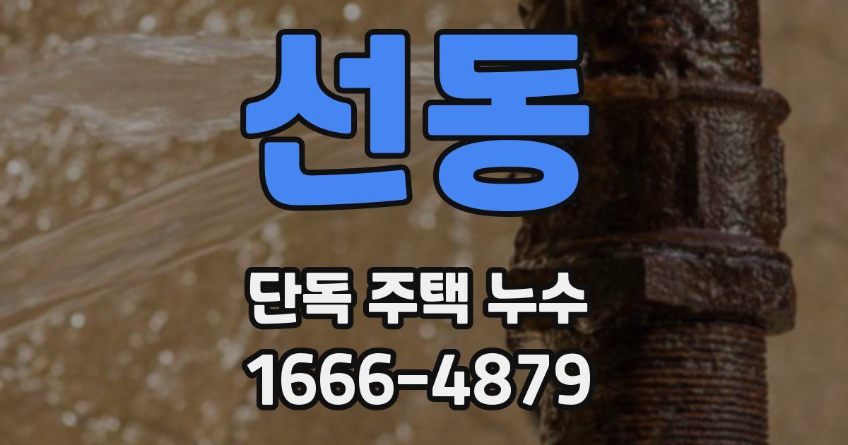 선동 단독 주택 누수