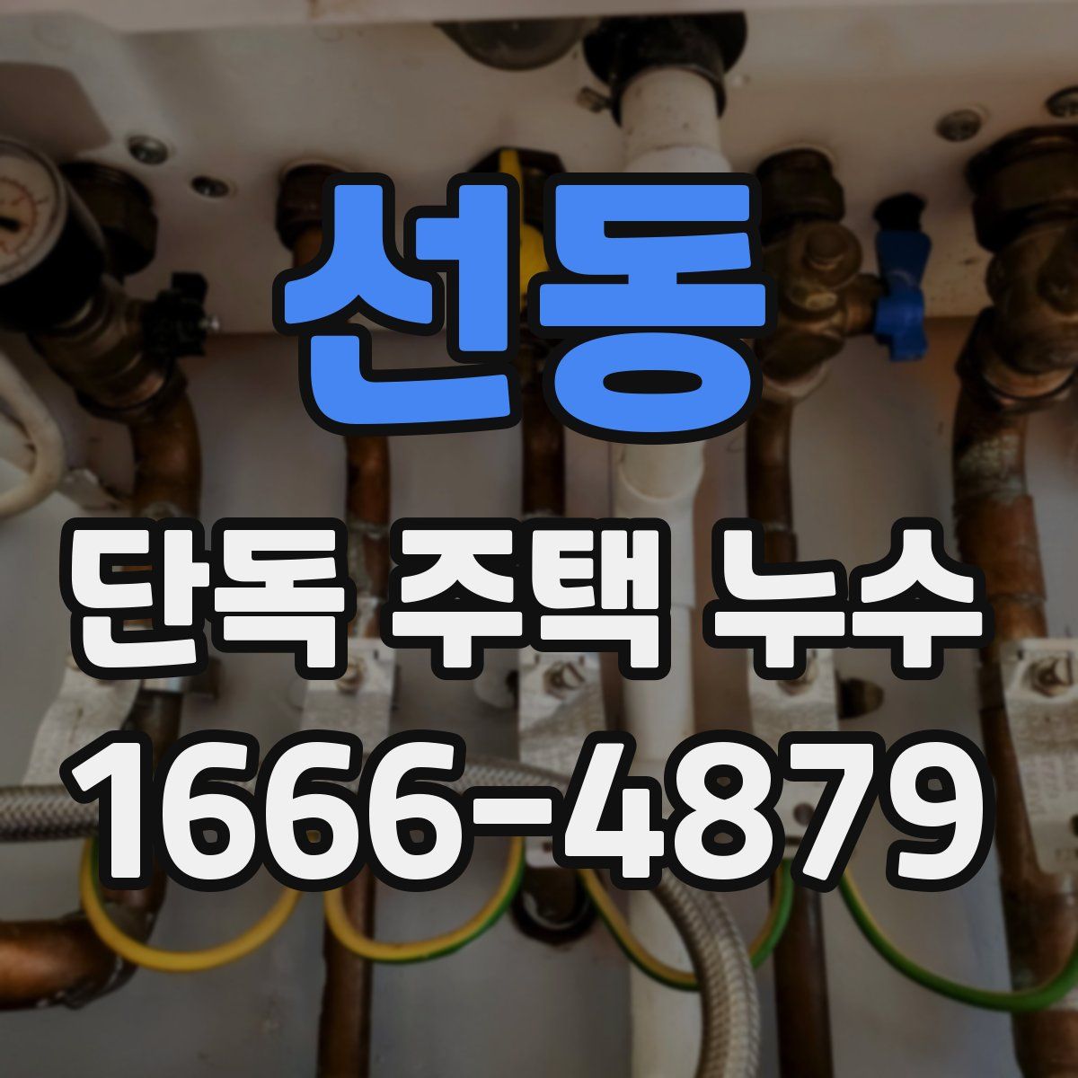 선동 단독 주택 누수