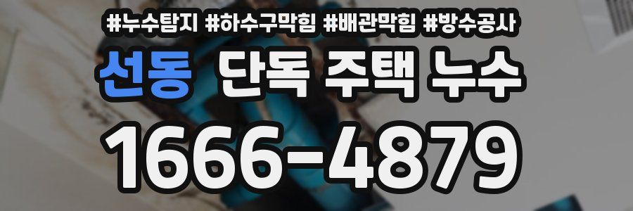 선동 단독 주택 누수