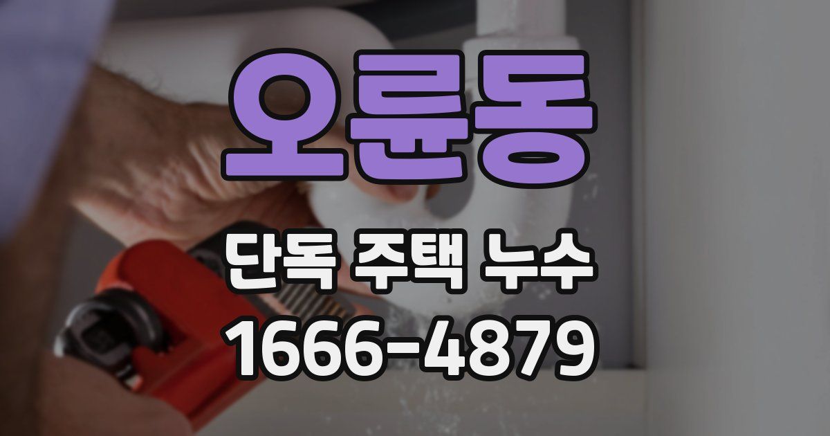오륜동 단독 주택 누수