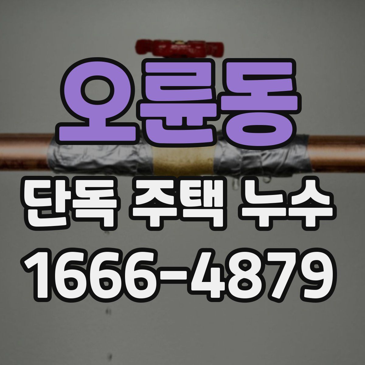 오륜동 단독 주택 누수