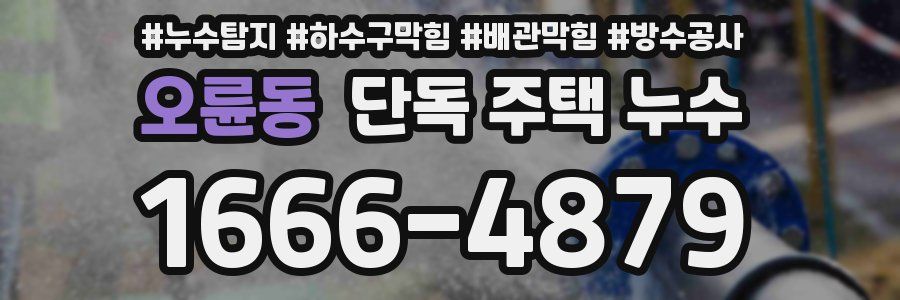 오륜동 단독 주택 누수