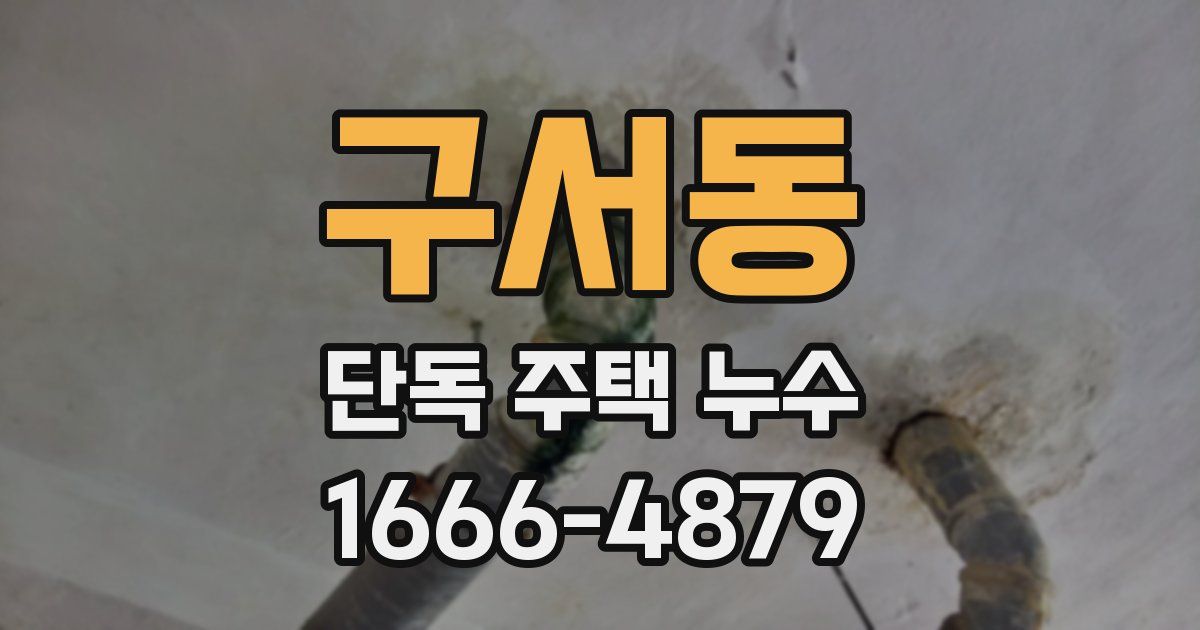 구서동 단독 주택 누수