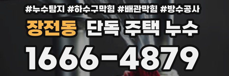 장전동 단독 주택 누수