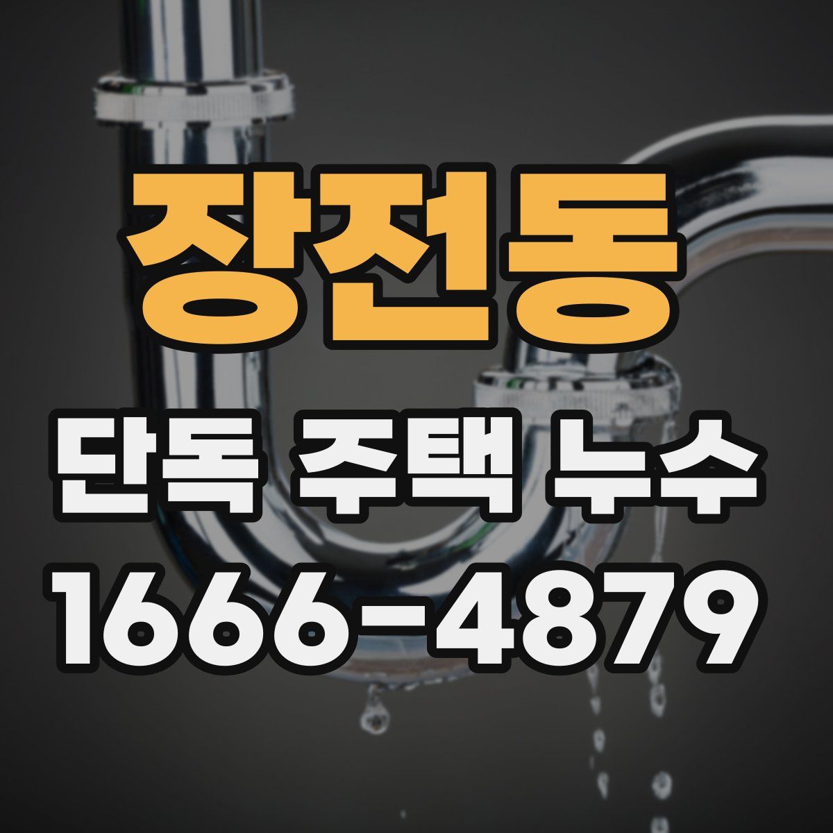 장전동 단독 주택 누수