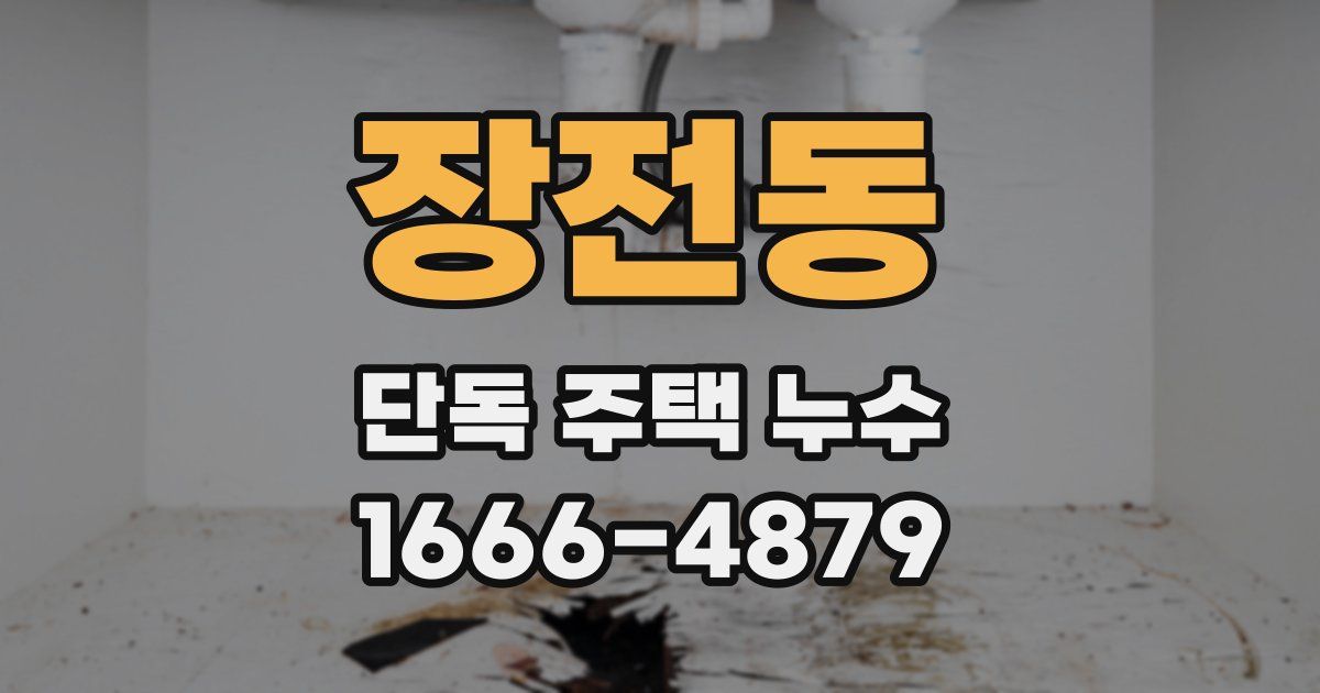 장전동 단독 주택 누수