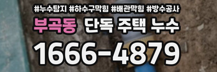 부곡동 단독 주택 누수
