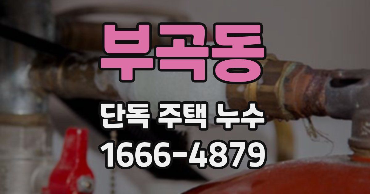 부곡동 단독 주택 누수