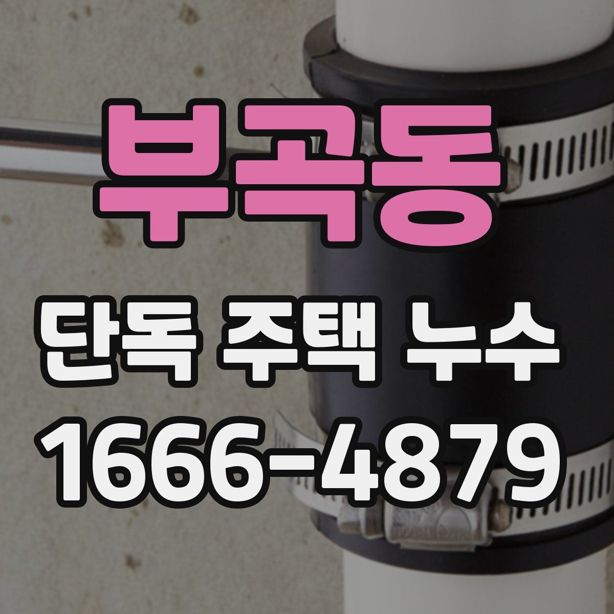 부곡동 단독 주택 누수