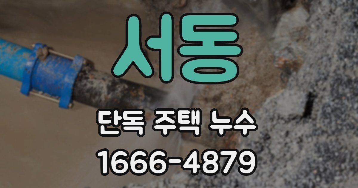 서동 단독 주택 누수