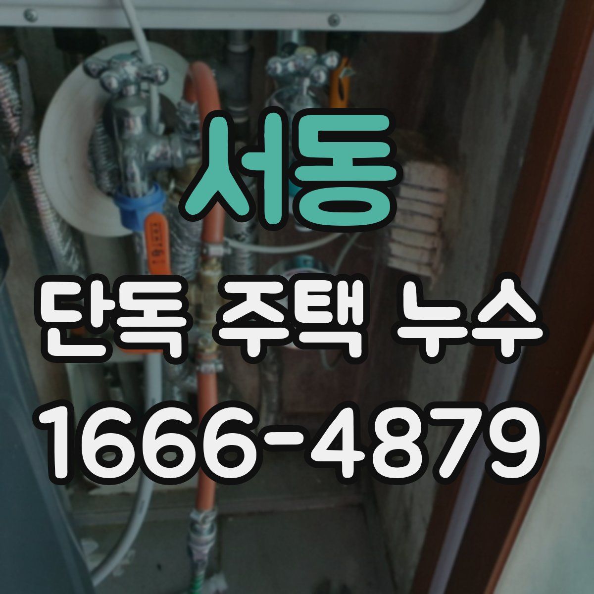 서동 단독 주택 누수