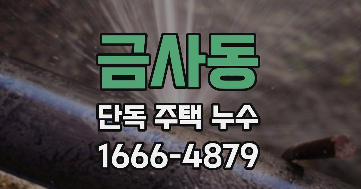 금사동 단독 주택 누수