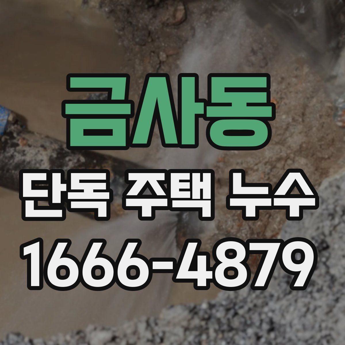 금사동 단독 주택 누수