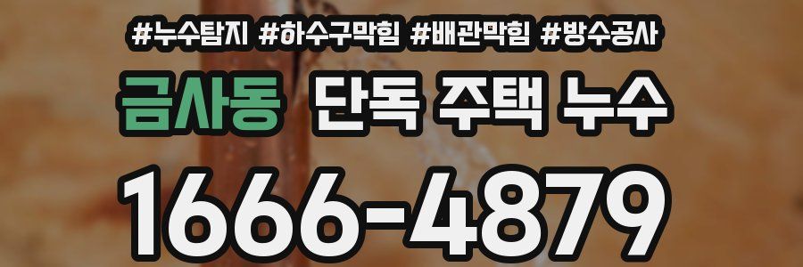 금사동 단독 주택 누수
