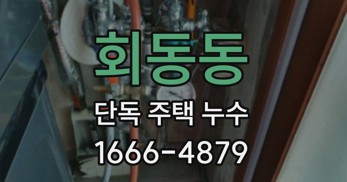 회동동 단독 주택 누수