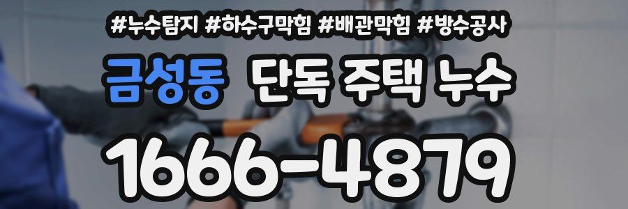 금성동 단독 주택 누수