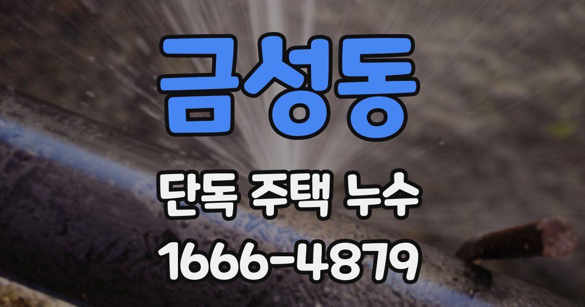 금성동 단독 주택 누수