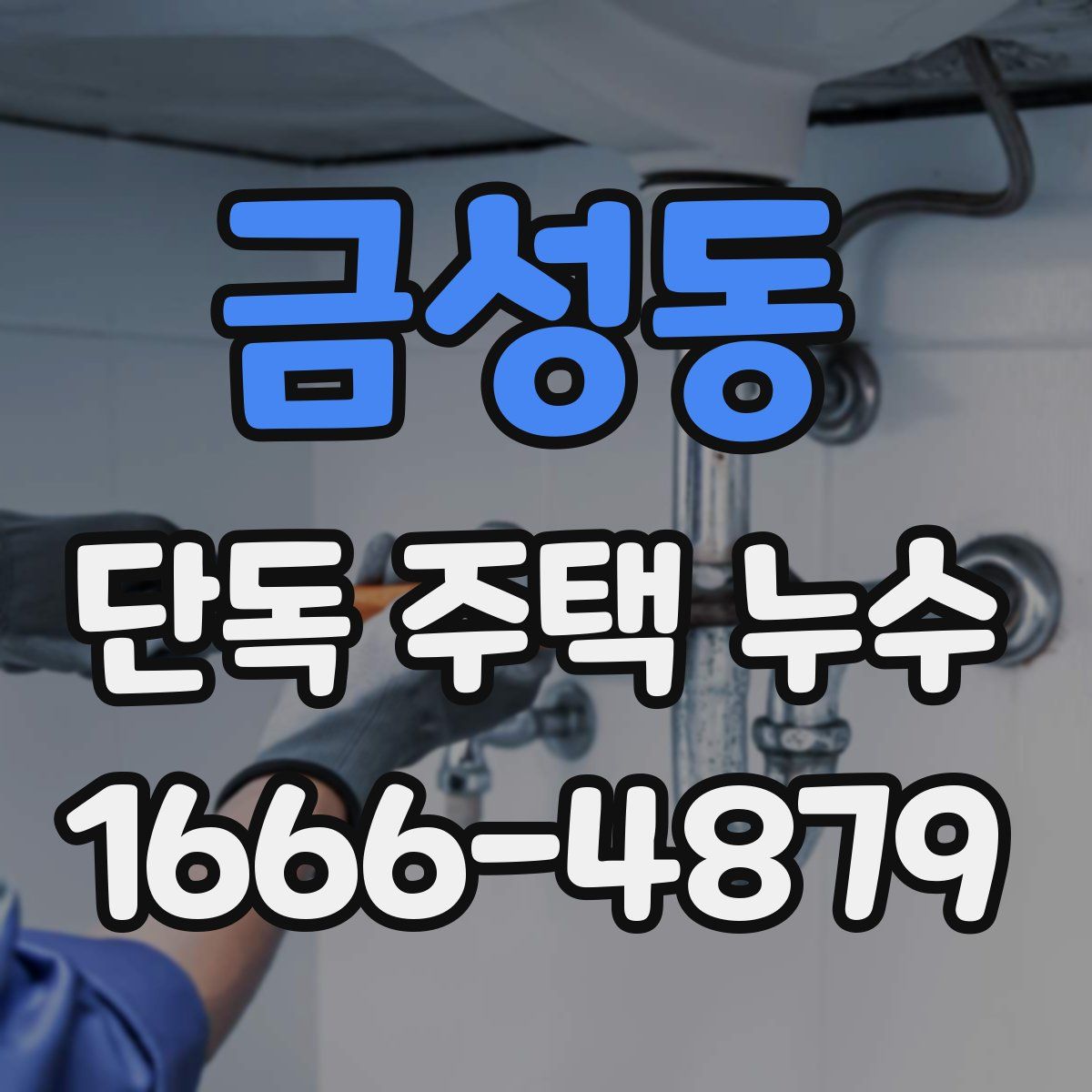 금성동 단독 주택 누수