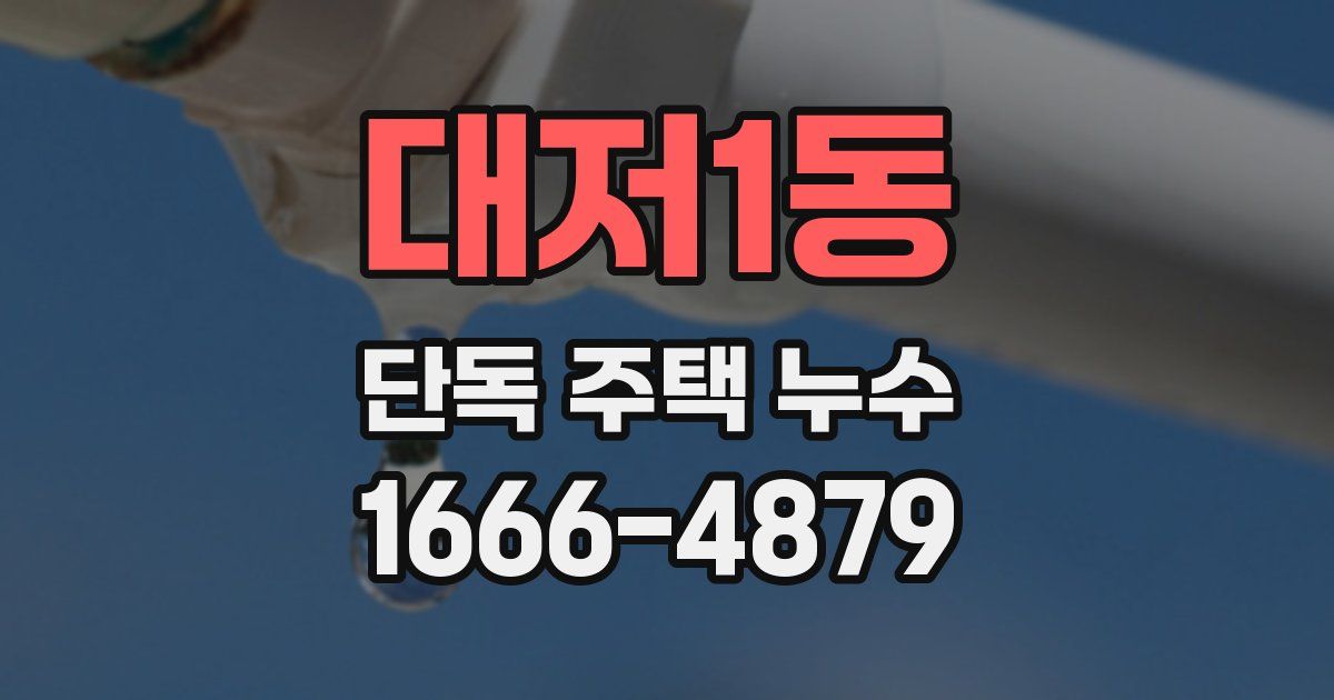 대저1동 단독 주택 누수