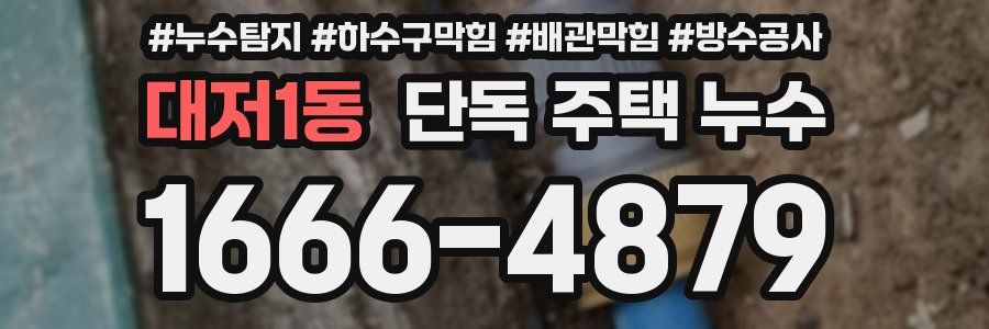 대저1동 단독 주택 누수