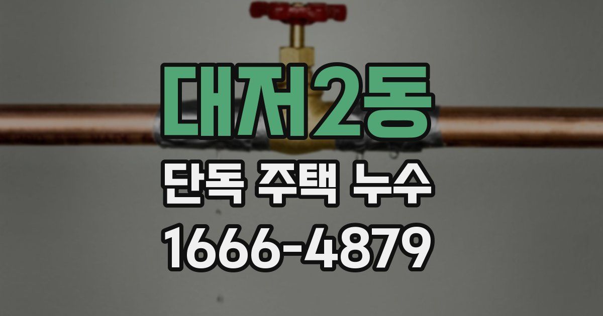 대저2동 단독 주택 누수