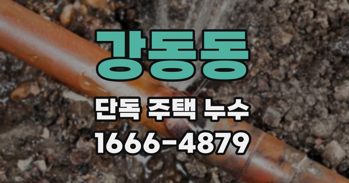 강동동 단독 주택 누수