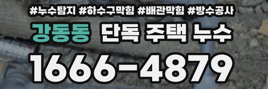 강동동 단독 주택 누수