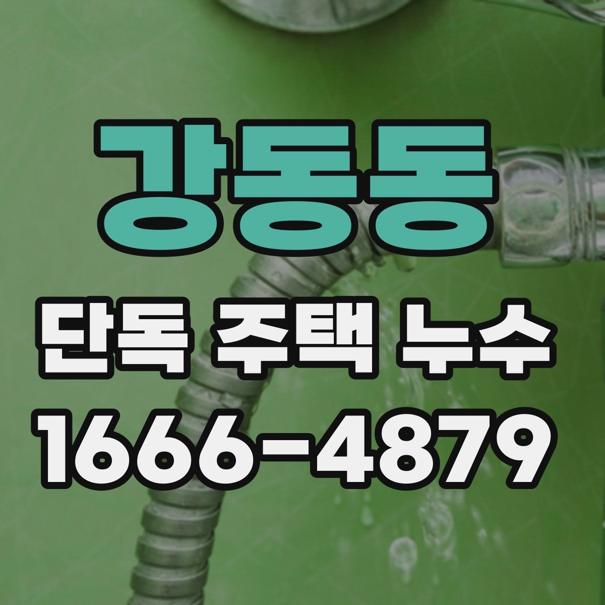 강동동 단독 주택 누수