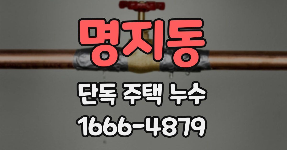 명지동 단독 주택 누수