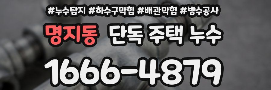 명지동 단독 주택 누수