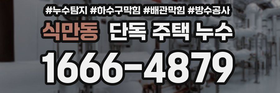 식만동 단독 주택 누수