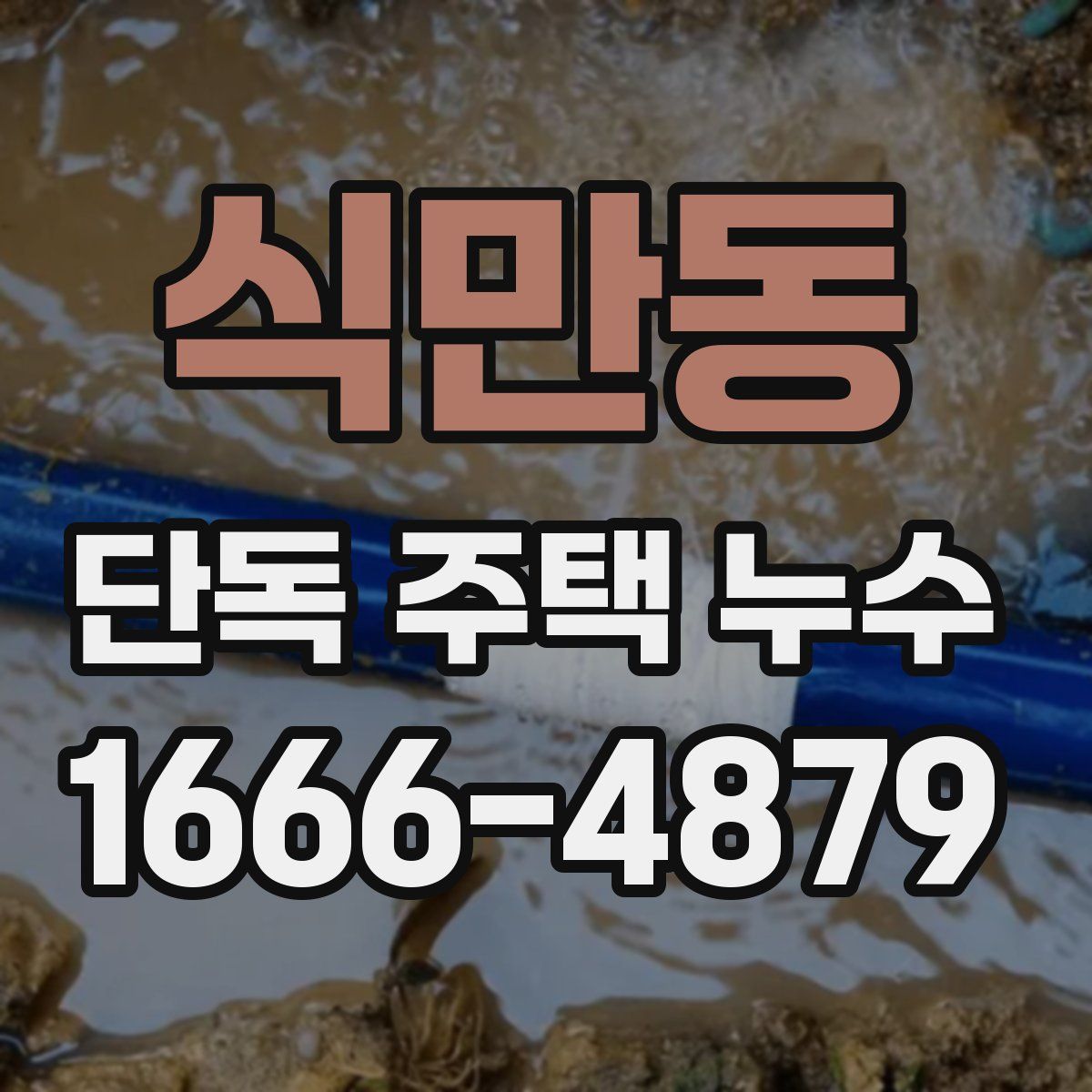 식만동 단독 주택 누수