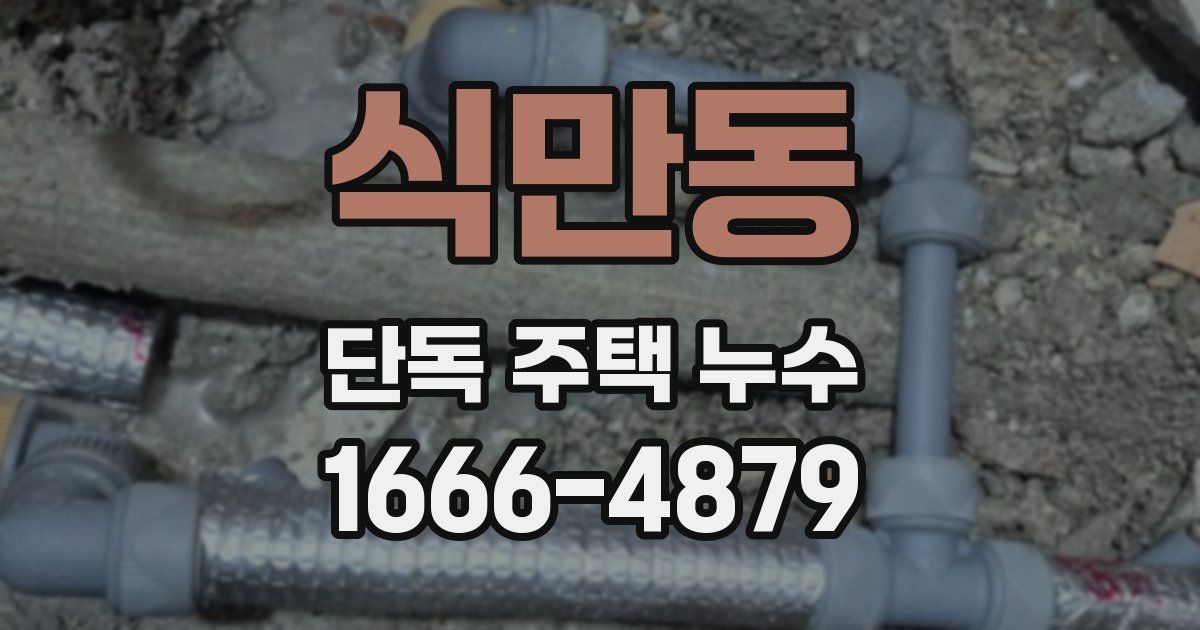식만동 단독 주택 누수