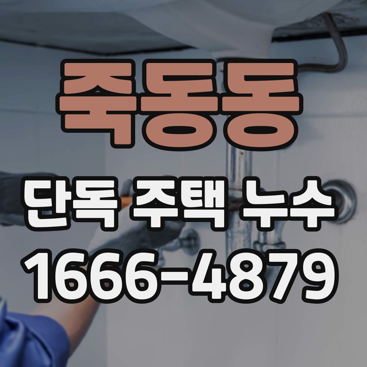 죽동동 단독 주택 누수