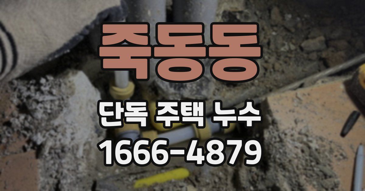 죽동동 단독 주택 누수