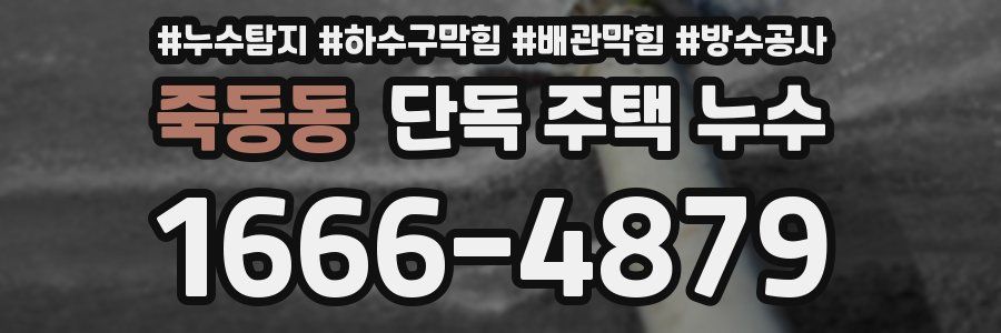 죽동동 단독 주택 누수
