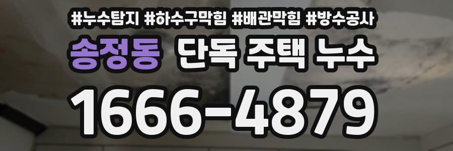 송정동 단독 주택 누수