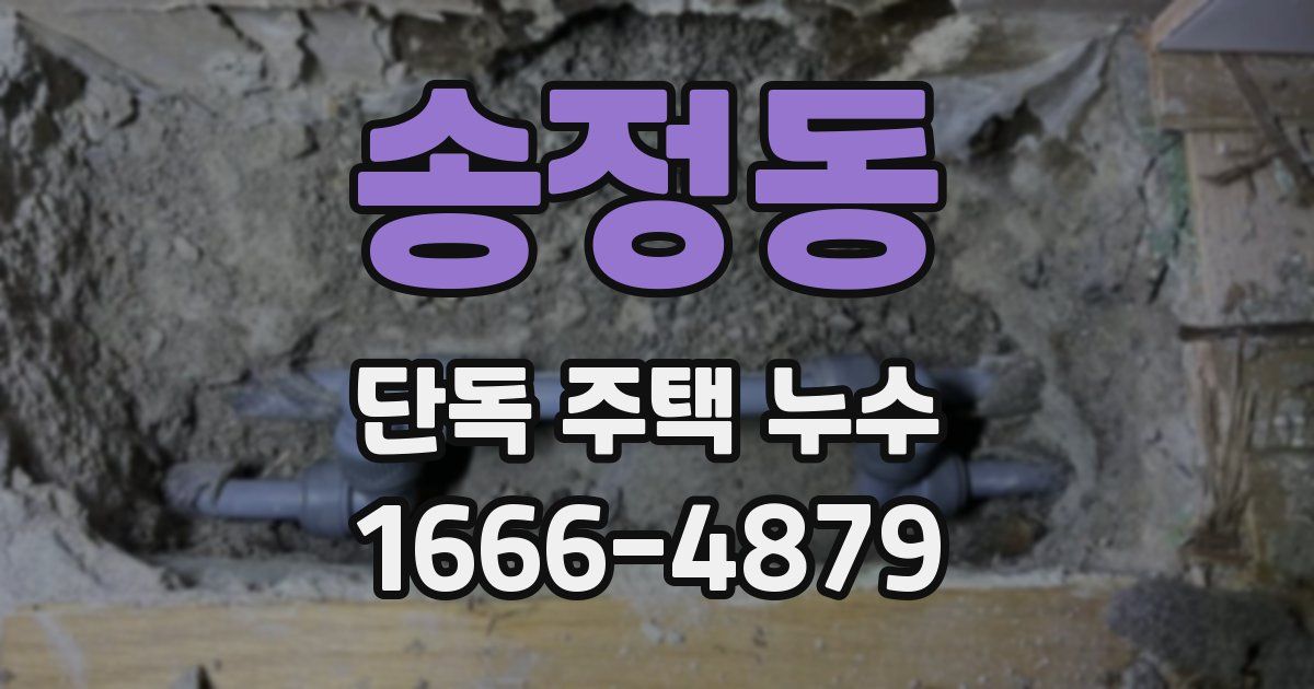 송정동 단독 주택 누수