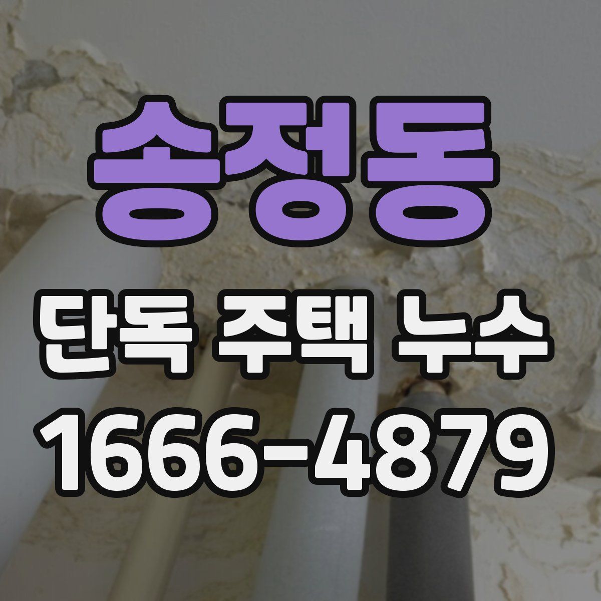 송정동 단독 주택 누수