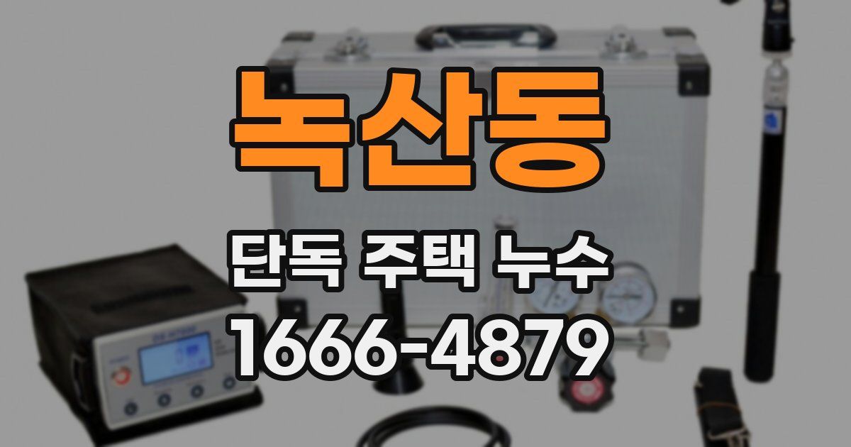 녹산동 단독 주택 누수