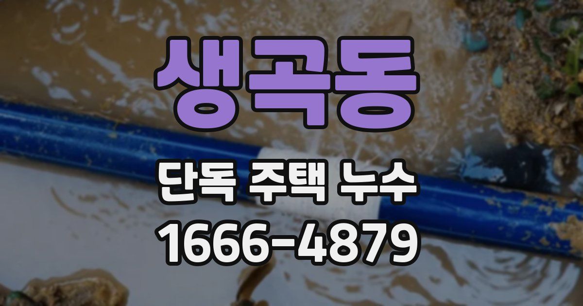 생곡동 단독 주택 누수