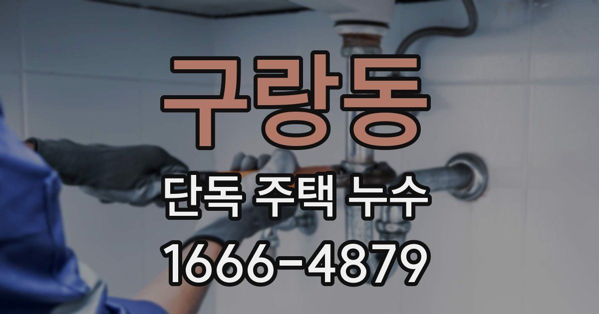 구랑동 단독 주택 누수