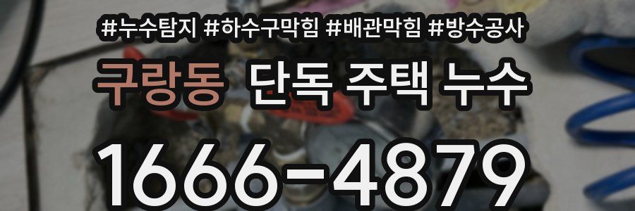 구랑동 단독 주택 누수