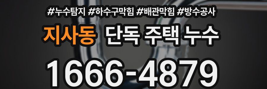 지사동 단독 주택 누수
