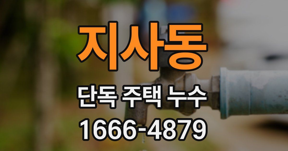 지사동 단독 주택 누수