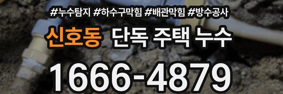 신호동 단독 주택 누수