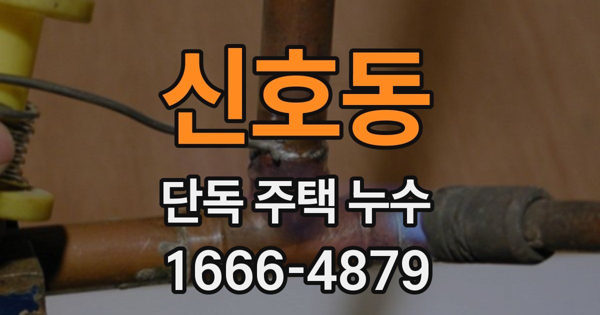 신호동 단독 주택 누수