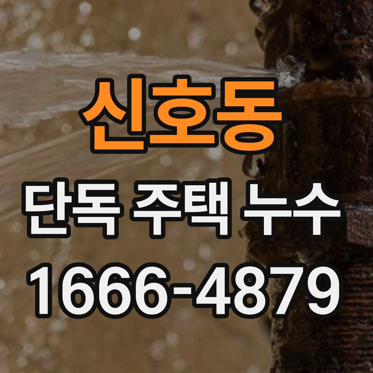 신호동 단독 주택 누수
