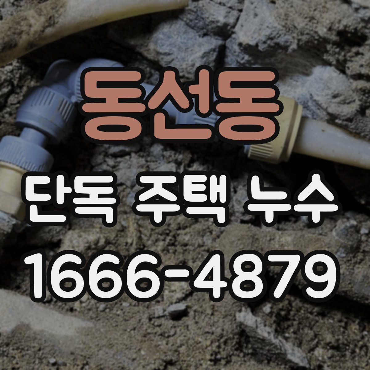 동선동 단독 주택 누수 점검 시 사진으로 남길 부분