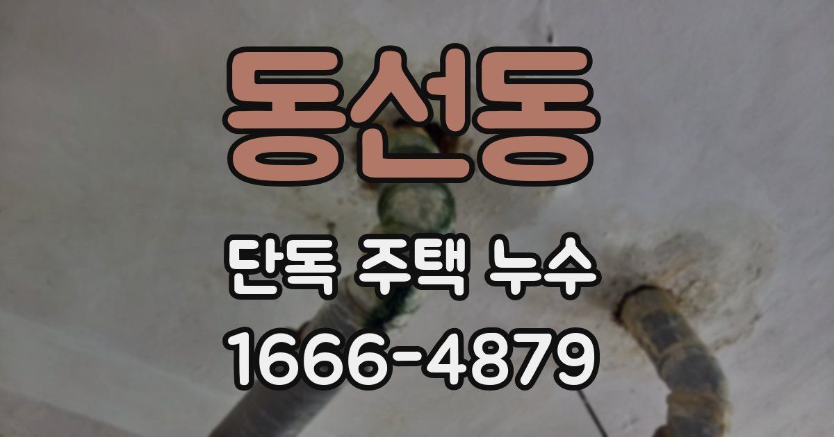 동선동 단독 주택 누수